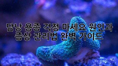 담낭 용종, 걱정 마세요! 원인과 증상, 관리법 완벽 가이드