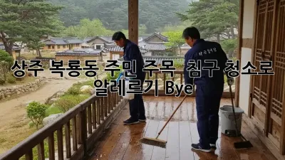 상주 복룡동 주민 주목! 🏡 침구 청소로 알레르기 Bye! 👋