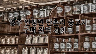 영주 안정면 단촌리 중고차 구매 완벽 가이드