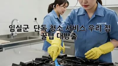임실군 🏡 단독 청소 서비스, 우리 집 ✨ 꿀팁 대방출!
